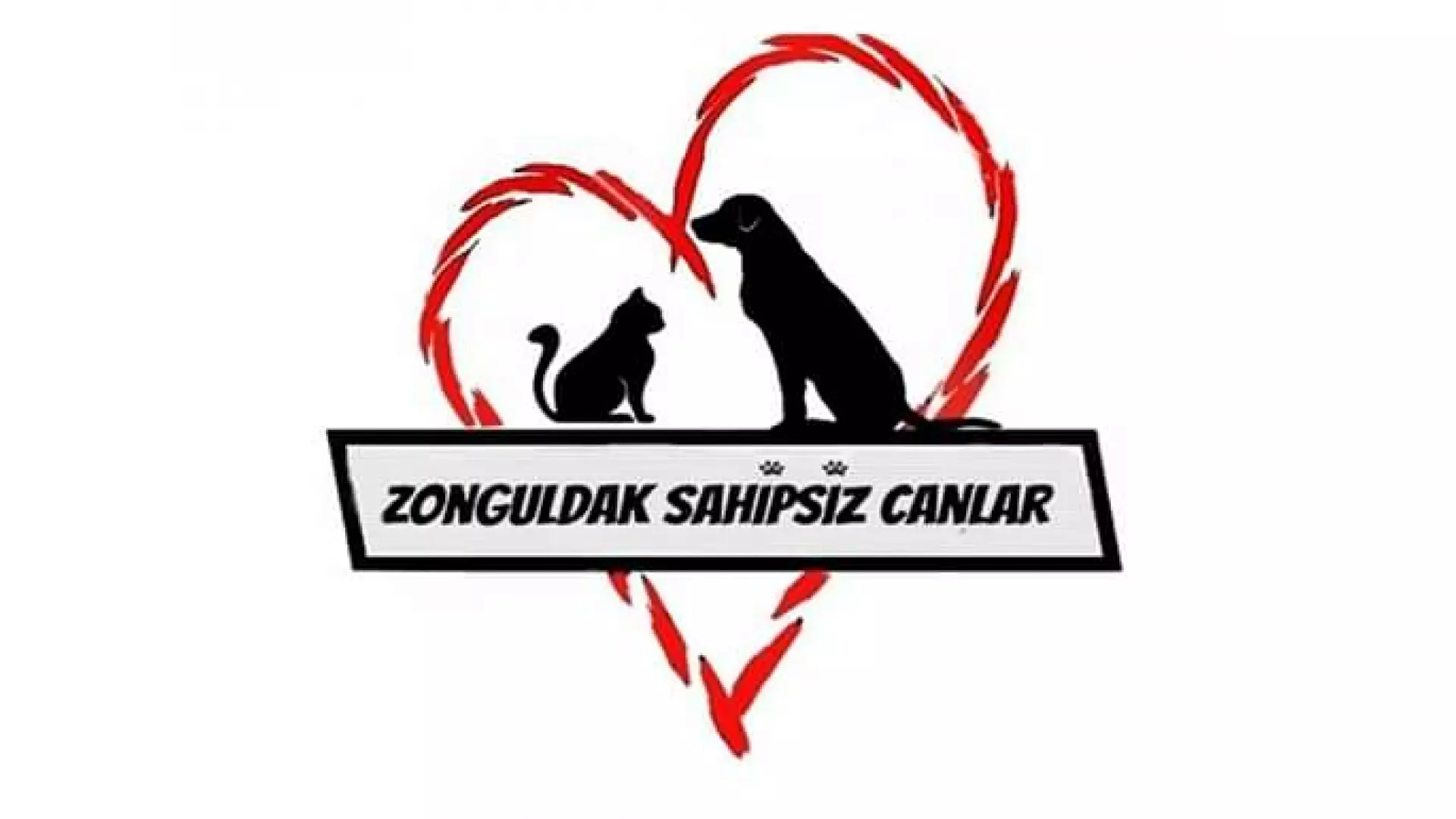 Zonguldak Sahipsiz Canlar